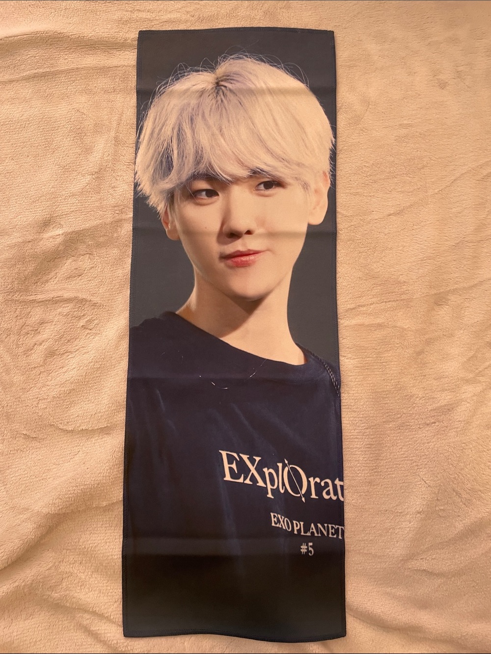 EXO Baekhyun Slogan